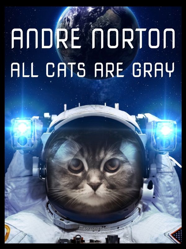 Norton-All Cats are Gray Norton-All Cats are Gray